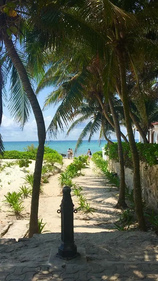 My House 0*, Playa del Carmen Mexico